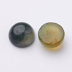 Natur Moos Achat Cabochons G-MOSS8x4