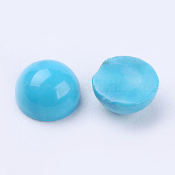 Natur Howlite Cabochons TURQ-L028-04