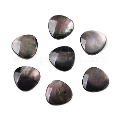 Natürliche schwarze Lippe Shell Cabochons SSHEL-T017-09