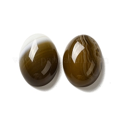 Natürliche gebänderte Achat Cabochons G-G975-01B-01