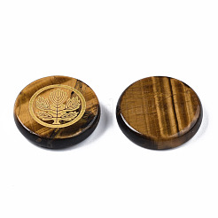 Natürlichen Tigerauge Cabochon G-S375-009D