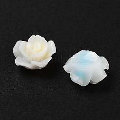 Leuchtende Decoden-Cabochons aus Harz RESI-K036-39