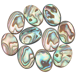 10 Stück natürliche Paua-Muschel-Cabochons FIND-BC0005-54