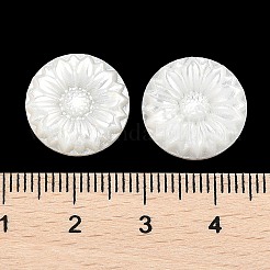 Natürliche schwarze Lippenmuschel geschnitzte Cabochons SSHEL-I026-17A