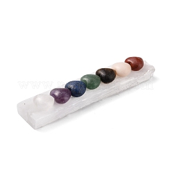 Rechteck-Chakra natürliche Selenit-Display-Dekorationen AJEW-I059-06