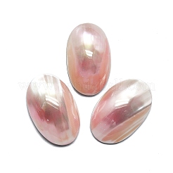 Natürlichen Shell Cabochons SHEL-K008-07B
