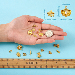 Ozean Thema Zinklegierung Cabochons DIY-TA0003-32G