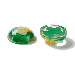 Cabochons aus transparentem Blütenharz RESI-G034-B01
