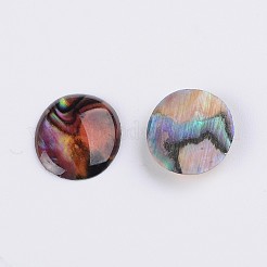 Ovale Abalone-Muschel / Paua-Muschel-Cabochons SSHEL-K002-12x10mm-03