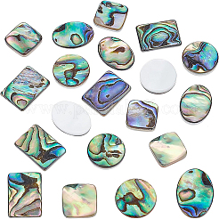 16 Stück 4 Stil natürliche Muschel-Cabochons SSHEL-BC0001-23