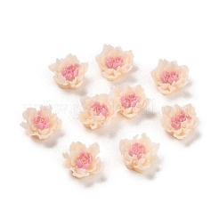 Leuchtende Decoden-Cabochons aus Harz RESI-K036-06H