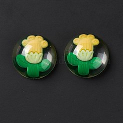 Cabochons aus transparentem Blütenharz RESI-G034-B01