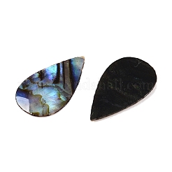 Natürliche Paua-Muschel-Tropfen-Cabochons SSHEL-T017-12
