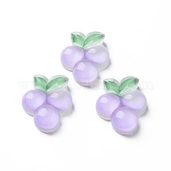 Herbstthema transparente Epoxidharz-Cabochons CRES-S365-09