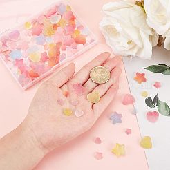 120 Stück PVC-Cabochons im 6-Stil KY-OC0001-09