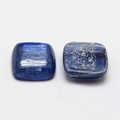 Quadratische Cabochons aus natürlichem Zyanit / Zyanit / Disthen G-O148-01C