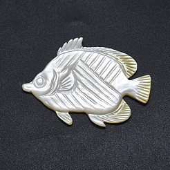 Shell Cabochons SSHEL-P015-73