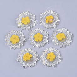 Transparente klare Epoxidharz-Cabochons CRES-N025-02B