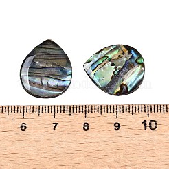 Natürliche Paua-Muschel-Tropfen-Cabochons SSHEL-T017-10