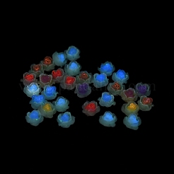 Leuchtende Decoden-Cabochons aus Harz RESI-K036-06J