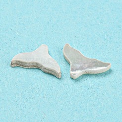 Natürliche Muschel-Cabochons SHEL-D079-13