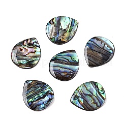 Natürliche Paua-Muschel-Tropfen-Cabochons SSHEL-T017-10