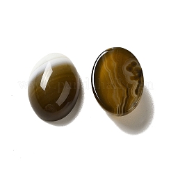 Natürliche gebänderte Achat Cabochons G-G975-01B-01