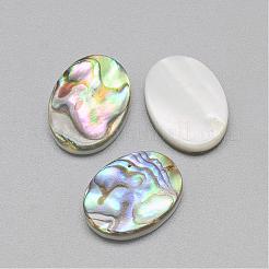 Paua Shell Cabochons SSHEL-R042-20