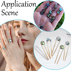 100 Stück 2 Stile natürliche Abalone Muschel/Paua Muschel Cabochons SHEL-SC0001-42