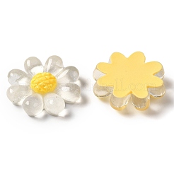 Durchscheinende Decoden-Cabochons aus Harz RESI-M041-08