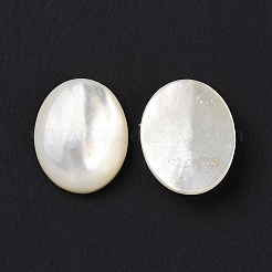 Natürlicher gelber Schal cabochons SSHEL-H068-03