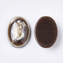 Harz Cabochons RESI-T309-013