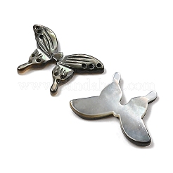 Natürliche schwarze Lippe Shell Cabochons SSHEL-I026-28