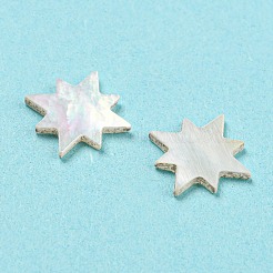 Natürliche Muschel-Cabochons SHEL-D079-12