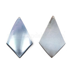 Natürliche Turbo Cornulus/Top Shell Cabochons SSHEL-N003-154