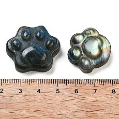 Natur Labradorit Cabochons G-C152-14