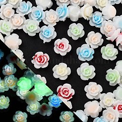 Leuchtende Decoden-Cabochons aus Harz RESI-K036-39