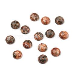 Edelstein-Cabochons X-G-H1596-FR-10mm-09