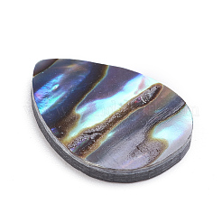 Natürliche Abalone Muschel / Paua Muschel Cabochons SSHEL-L017-002