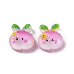 Cartoon-Cabochons aus transparentem Harz CRES-R459-01D