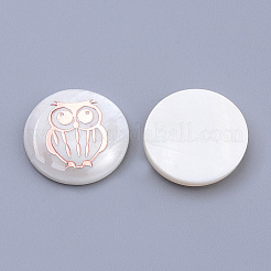 Süßwasser Shell Cabochons BSHE-S622-06