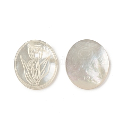 Natürliche Muschel-Cabochons SSHEL-T012-14