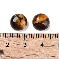 Natürlichen Tigerauge Cabochon G-G788-C-14