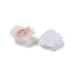 Leuchtende Decoden-Cabochons aus Harz RESI-K036-06K