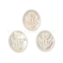Natürliche Muschel-Cabochons SSHEL-T012-14