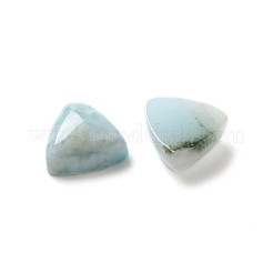 Natürliche Larimar-Cabochons G-E616-01