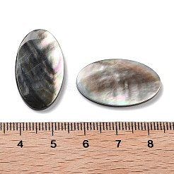 Natürliche schwarze Lippe Shell Cabochons SSHEL-D084-04A