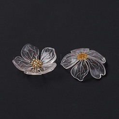 Transparente Harzcabochons X-RESI-L035-19