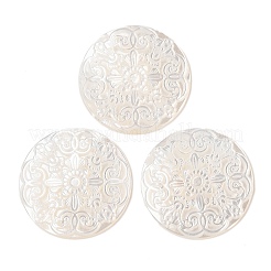 Natürliche weiße Muschel cabochons SSHEL-C012-12