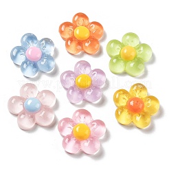 Durchscheinende Harz-Cabochons RESI-H155-01